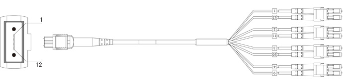 AFO-DLC/MPO-10G-50-x-8C