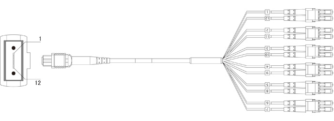 AFO-DLC/MPO-10G-50-x-12C