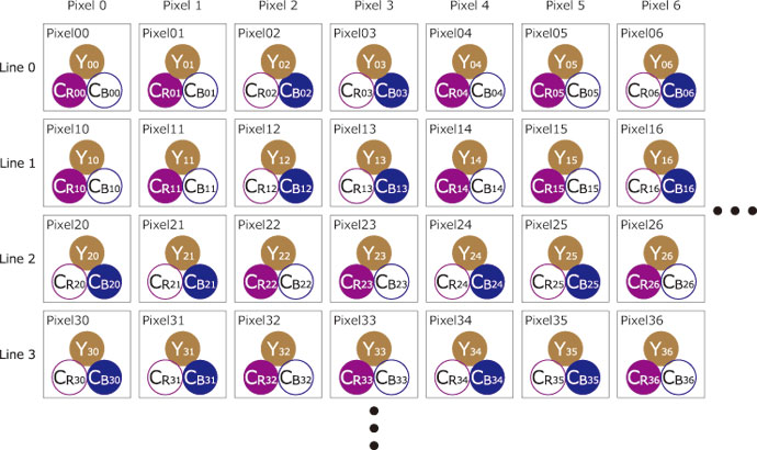 YCbCr 4:2:0 の構成イメージ