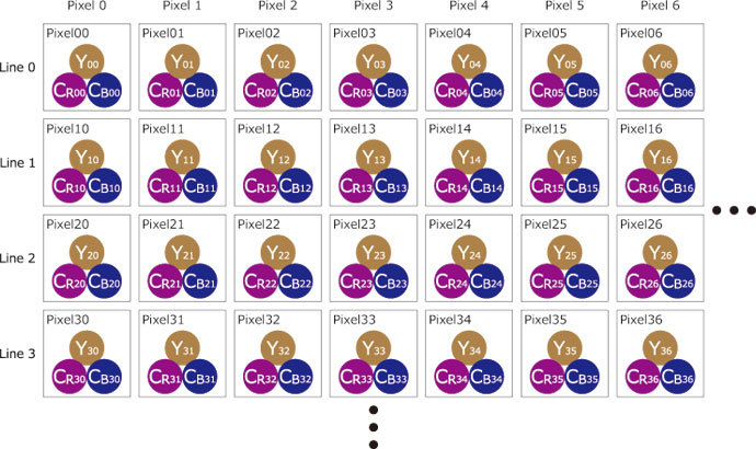YCbCr 4:4:4 の構成イメージ